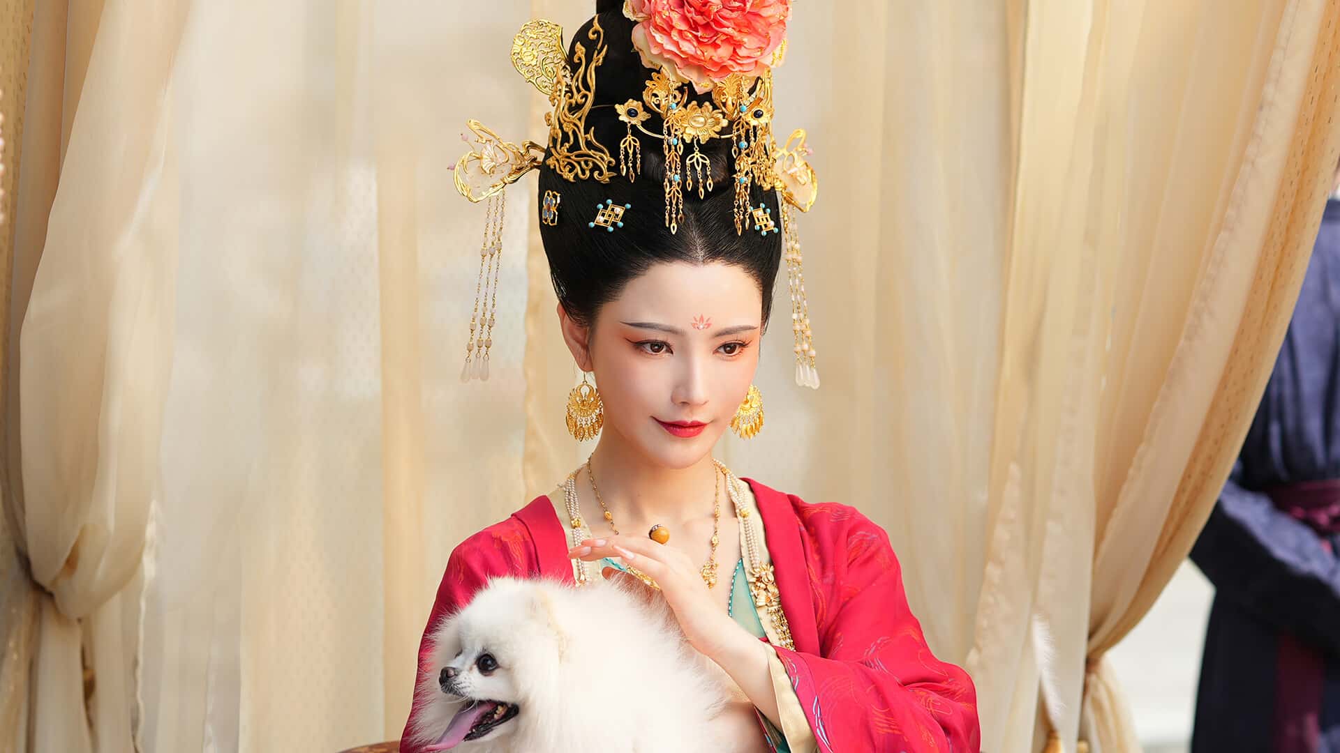 视觉数据5